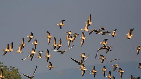 Image used for representational purposes only