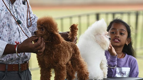 Image used for representational purposes only.