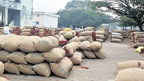 Red chilli farmers reach Enumamula Agriculture Market in Warangal with huge loads of produce for sale