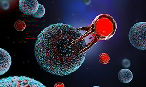 Image used for representational purposes only.