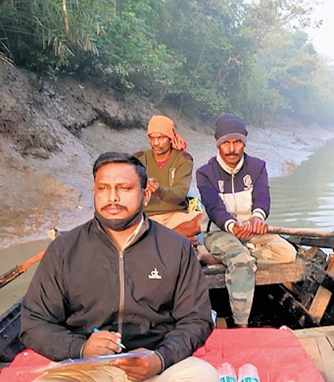 The team engaged in the reptile census at Bhitarkanika National Park