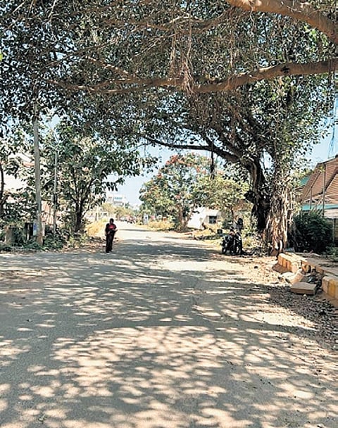 A road in Rajiv Gandhi Nagar in Kodigehalli.