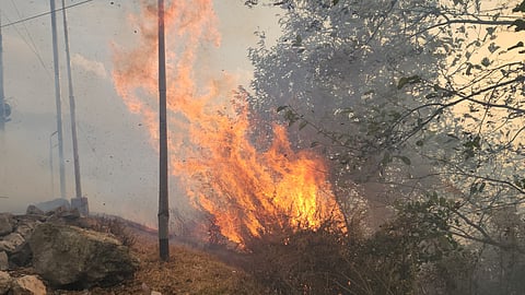 Wildfire rages in Arunachal Pradesh