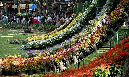 Visitors at the 217th Flower Show as part of the Republic Day celebration at Lalbagh in Bengaluru.