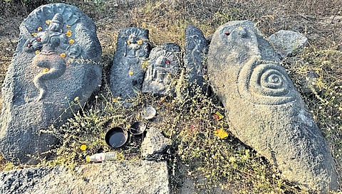 Five Kakatiya-period Naga sculptures were also found at the site