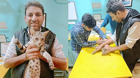 Vipul Jain, animal rescuer and founder of PAWS Foundation, (L) Jain takes an injured cat to a vet (R)