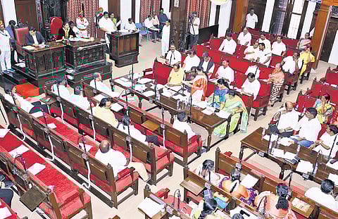 The microchips will store details such as the pet’s name, species, breed, colour, sex, age, vaccination status