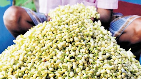 Image used for representational purposes only