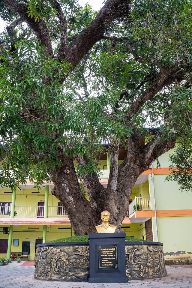 The bust of Vyloppilli Sreedhara Menon under the shade of a mango tree at the school
