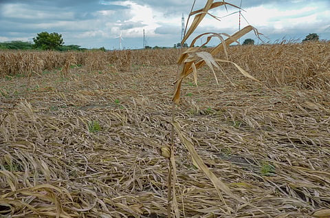 Image used for representational purposes