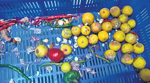 The team observed that semi-prepared food items and raw materials, along with food and non-food items, were stored together.