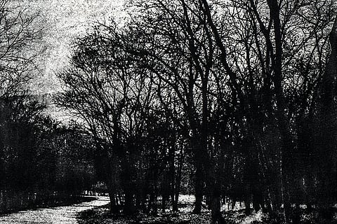 A photograph by Arun