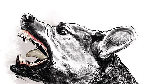 Representative image