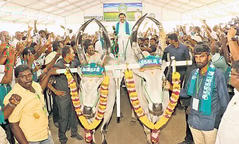 Edappadi K Palaniswami arrives on a bullock cart at an event honouring him for implementing the Avinashi-Athikadavu Groundwater Recharge Project