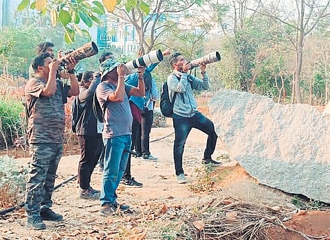 Participants spotting birds at the bird walk organised by the Telangana Forest Development Corporation at the Botanical Garden in Hyderabad