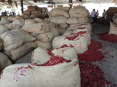 AP government cheated chilli farmers, says Sharmila