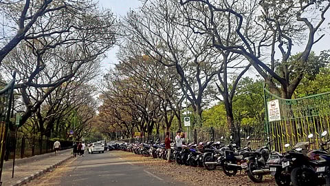 Cubbon Park, Vehicles, Parking