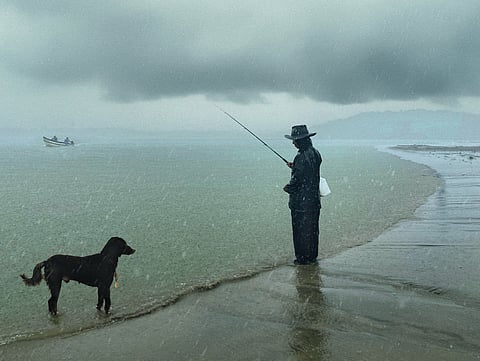 A photo from Raindogs by Rohit Chawla