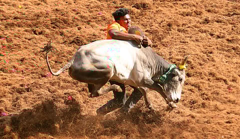 Image used for representational purposes only