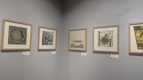 The 'One World' exhibition at Ek Chitra Art Studio