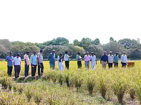 Experts study the crops developed by PAJANCOA&RI in Karaikal