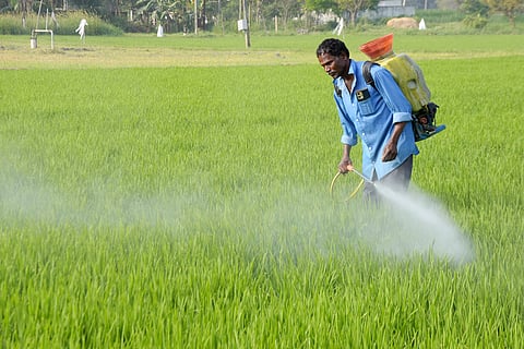 Farmers cultivating various crops across approximately 5.6 lakh hectares are using 70,000 litres of various pesticide brands.