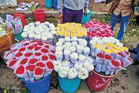 Stating that with global demand at an all-time high, international rose shipments saw a 51% increase in tonnage and an 86% rise in stem count.