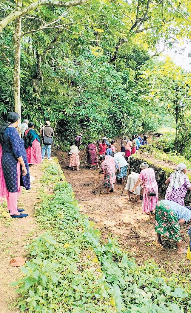 People engaged in reinstating the stalled watercourses in Kollam district
