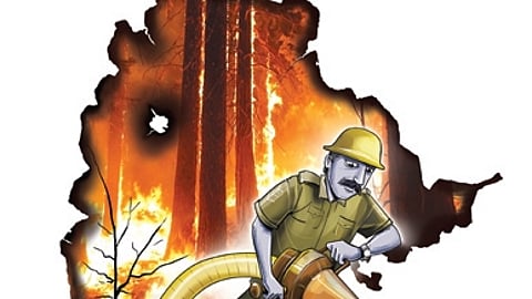 AI camera plan to tackle forest fires in Odisha hit by funding shortfall