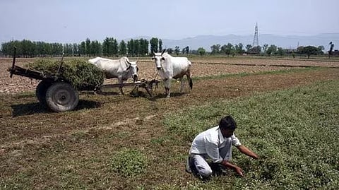 Image used for representational purposes only