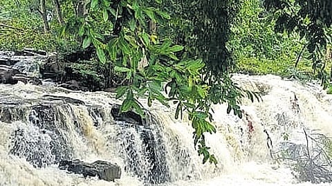 Karnataka competes with Tamil Nadu to get a piece of Hogenakkal tourism