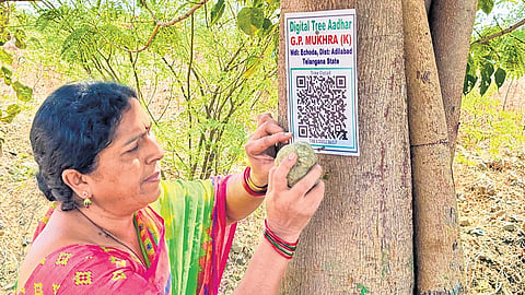 Mukhara K village sarpanch Meenakshi geo-tags and pastes a QR code on a tree on Tuesday