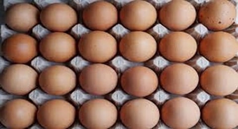 The previous egg supply contracts expired in February 2025.
