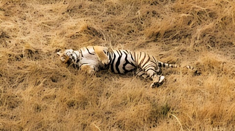 Image used for representative purpose.