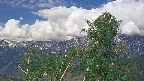 Making Enemies is Wasteful