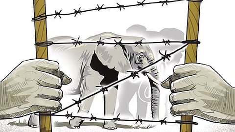 Image used for representational purposes only