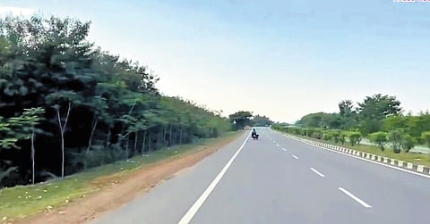 Hyderabad–Vijayawada National Highway-65 flanked by trees
