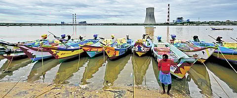 Ennore Creek is a crucial wetland ecosystem that supports marine biodiversity, prevents coastal erosion, and mitigates urban flooding