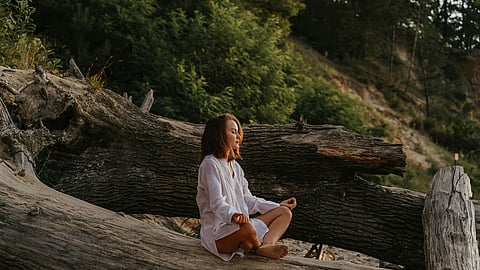 Representative picture