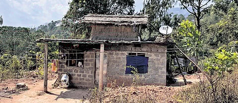 Makeshift huts built on the rooftops of homes at 301 Colony to escape jumbos