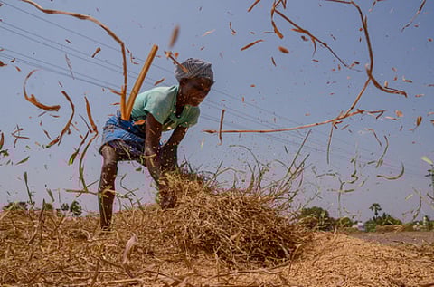 Representative Image.