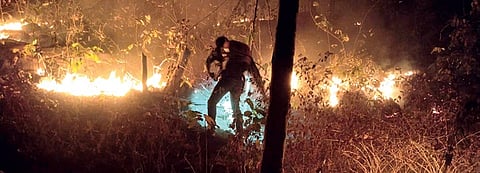 A member of the fire protection squad dousing flames in Bonai forest division
