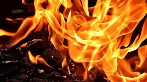 Image used for representation