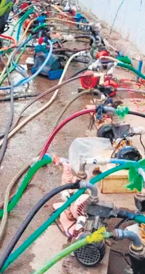 Selvi died when she went to switch on a motor pump (above) that was illegally connected to electric linesdied when she went to switch on a motor pump (above) that was illegally connected to electric lines