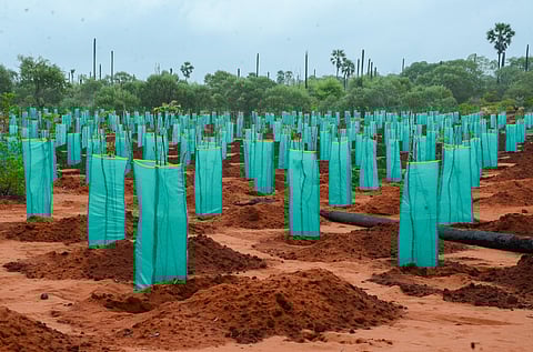 In an effort to significantly increase the green cover across UP, the state government is planning to initiate grassroots environmental efforts by establishing ‘Green Chaupals’ in villages.