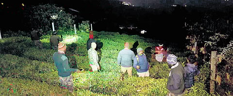 Police said after sensing foul smell emanating from the bushes in a tea garden on Thursday afternoon, locals checked and found her body