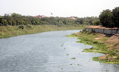 The TNPCB report also said dissolved oxygen (DO) levels were nil, far below the 4 mg/L needed to sustain aquatic life.