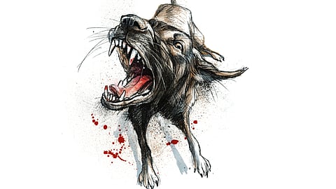 V Ramesh, died of rabies at the Vellore Government Medical College and Hospital on March 15.