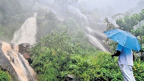 The initiative will cover approximately 1,200 sq.km, including the Nilgiris, Valparai in Coimbatore, Kodaikanal in Dindigul, and Yercaud in Salem.