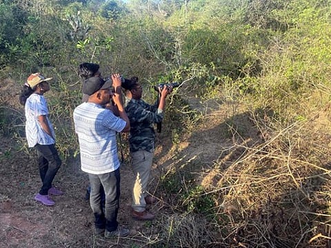 Image of an official conducting a terrestrial bird census